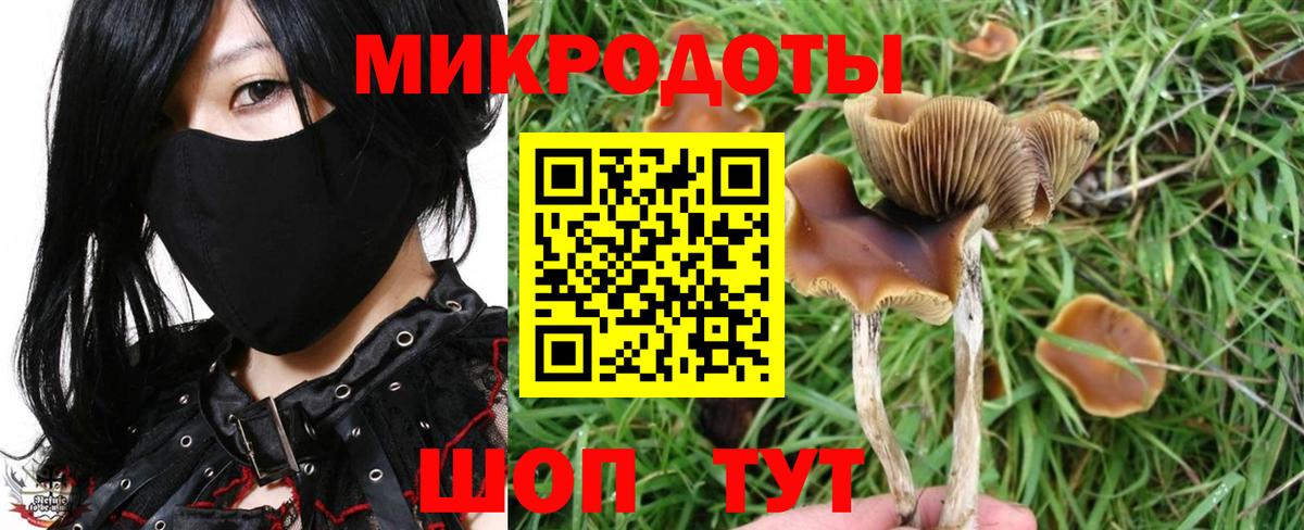 Коммунар  Псилоцибиновые грибы прущие грибы  Вход с VPN 